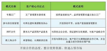 寻找可持续发展的中国样板 从生活垃圾焚烧到废弃塑料回收利用